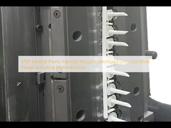STEP Medical Plastic Injection Mould Customized Low-Cost Mold Design & Making Manufacturing