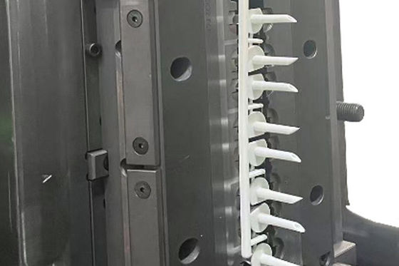 STEP Medical Plastic Injection Mould Customized